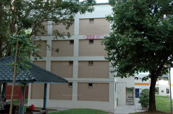 Blk 222 Pending Road (Bukit Panjang), HDB 4 Rooms #223132